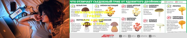 соль курить ск Нефтекумск